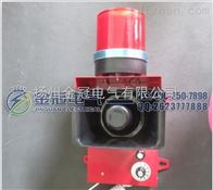 TGSG-09大功率声光报警器